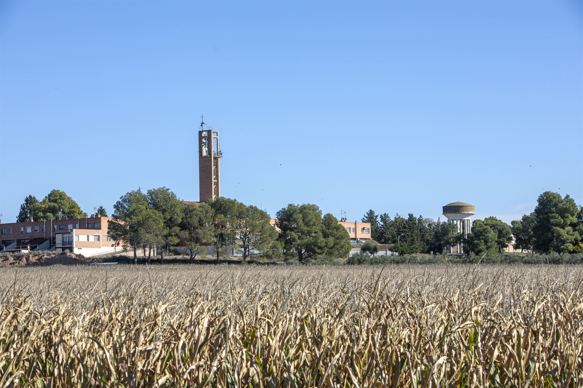 Imagen Vencillón