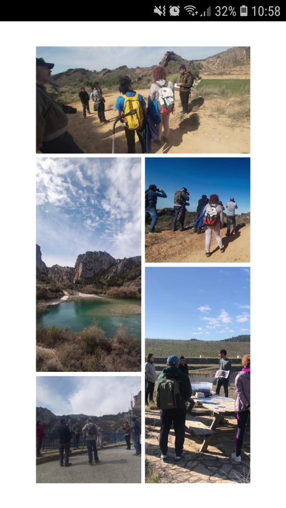 Imagen Birding Aragón
